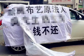 榆阳为什么选择专业追讨公司来处理您的债务纠纷？